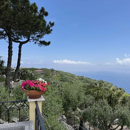 Neranya - Amalfi Apartment Massa Lubrense